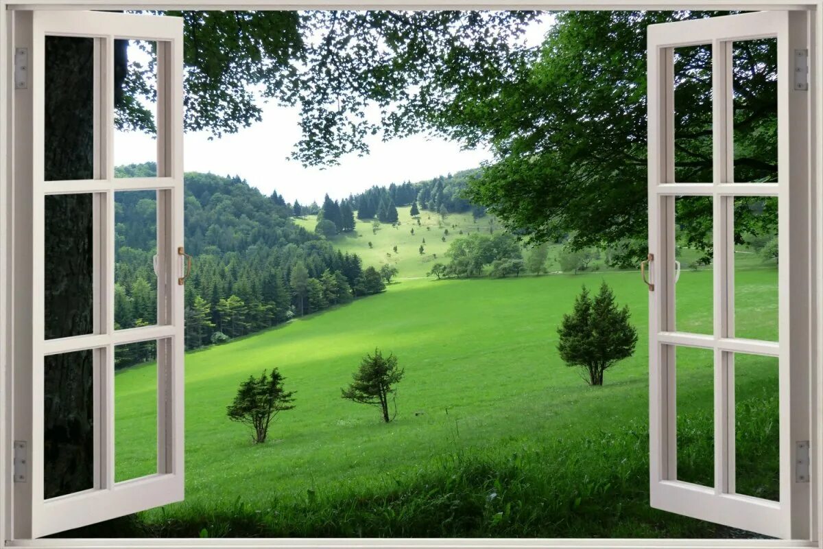 Window poster