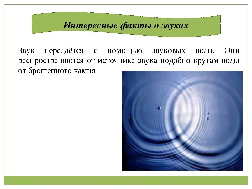 Сообщение на тему звуки. Факты о звуке физика. Интересные факты о шуме. Звуковые волны интересные факты. Интересные факты звуковые.