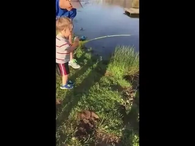 Видео как дети ловят