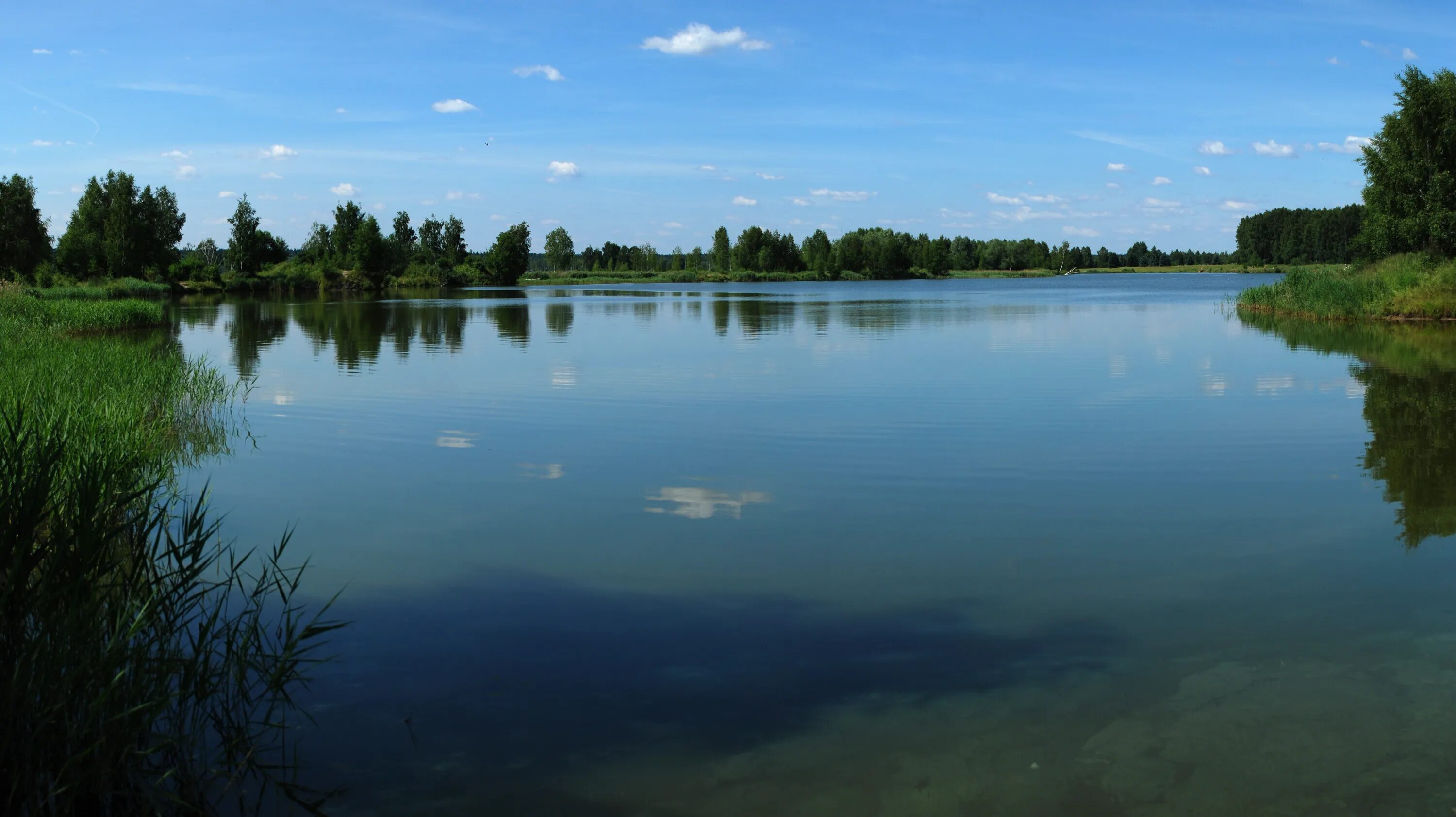 Купить озеро тверская область. Озеро Лесное Тверская область. ОЛИКОВСКОЕ озеро Владимирская область. Озеро Лемно Тверь.
