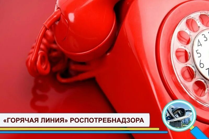 Заместитель главы роспотребнадзора нижегородской обл. Телефон роспотребнадзора великий. Горячие линии роспотребнадзора. Телефон роспотребнадзора великий. Роспотребнадзор город салават адрес фото.
