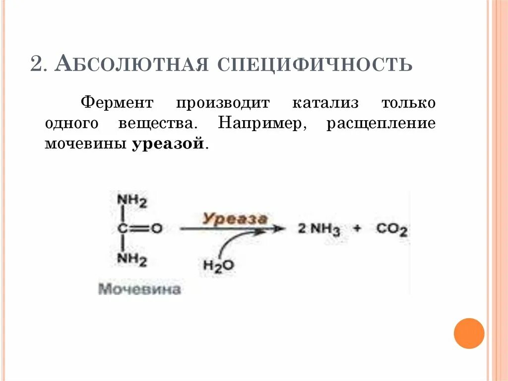 Ферменты обладают специфичностью. Абсолютная специфичность ферментов. Абсолютная Субстратная специфичность фермента. Абсолютная и Относительная специфичность ферментов. Относительная специфичность действия ферментов.