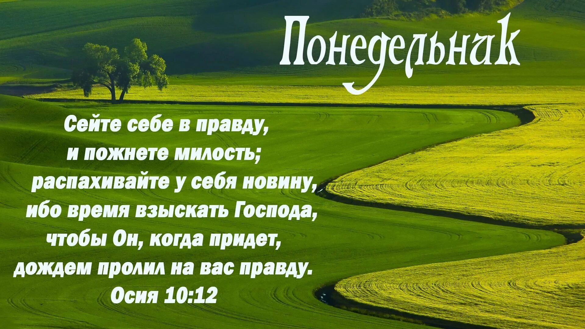 Притчи 21:21. Правда и сострадание. Соблюдающий правду и милость. Правда и милость. Правда и милость.