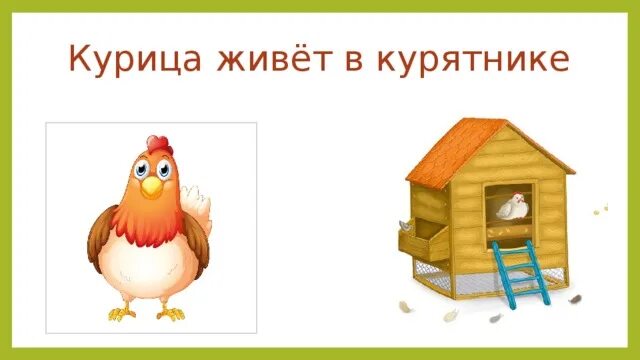 Где живут курицы