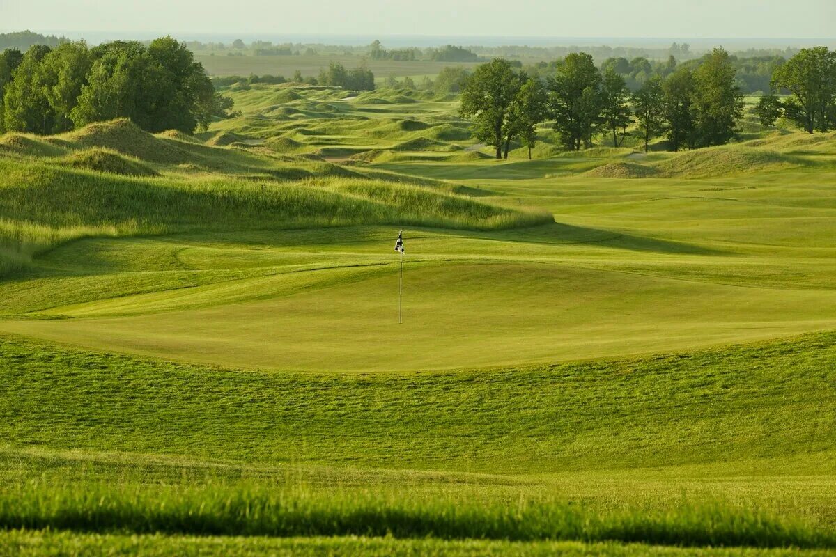 Насколько поле. Links National, деревня Телешово. Links National Golf Club гольф. Телешово гольф клуб. Равнинная и Холмистая местность.