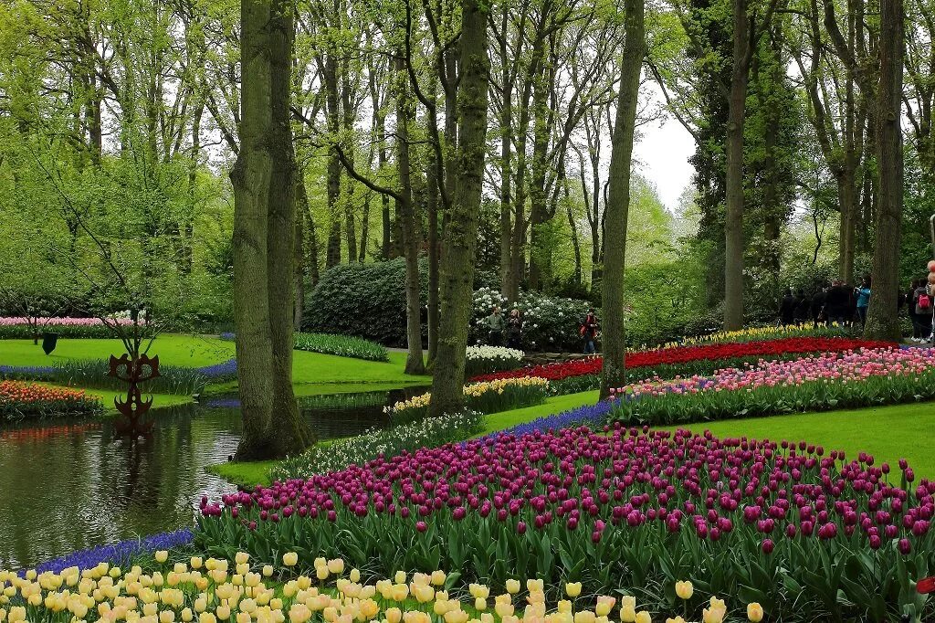 площадка эппл хилл. ботанический сад на окинаве. Apple hill крылатское дворик. сад контакты. дом сад огород.