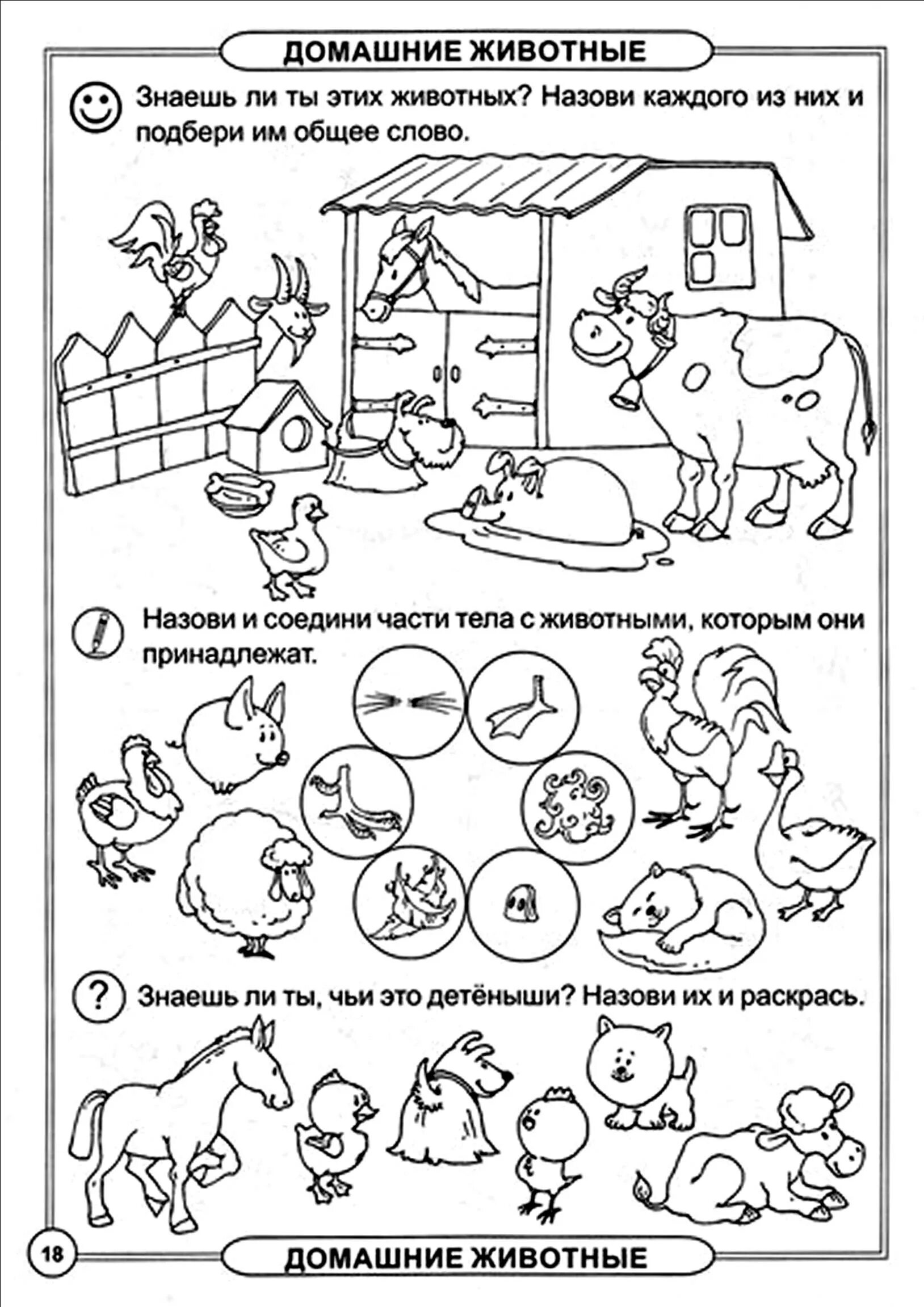 Лексика 4 года. Домашние животные задания для дошкольников 6-7 лет. Домашние животные задания для детей. Домашние животныехадания. Домашнее животные задания для дошкольников.