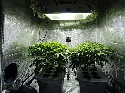 Grow center