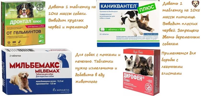 Можно собаке давать обезболивающие таблетки. Препараты от паразитов для собак. Таблетки для собак. Таблетки от глистов для собак. Таблетки для профилактики гельминтов у собак.