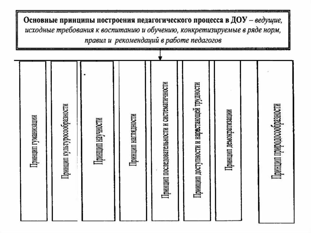 Дидактика основные категории