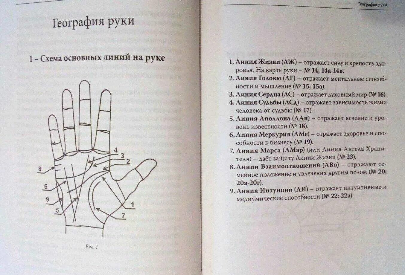 Ладонь хиромантия. Линии на руке значение. Хиромантия линии на ладони. Чтение по руке. Самостоятельная по судьбе человека