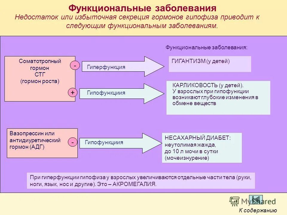 Функциональная больная