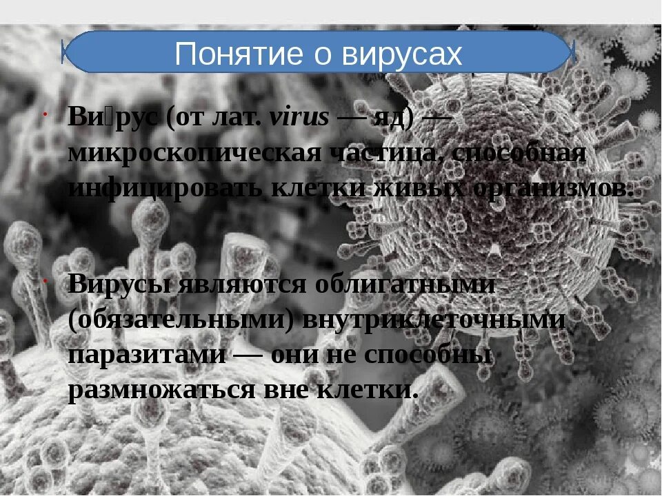 Вирусы способны размножаться только в живых клетках. Вирусы внутриклеточные паразиты. Вирусы являются внутриклеточными паразитами. Вирусы являются паразитами клеток:. Высказывание о вирусах.