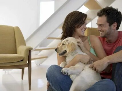 Their dogs
