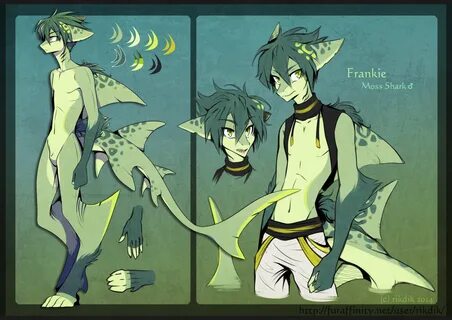Frankie the Moss Shark by. 