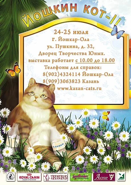 Выставка кошек йошкар ола. Выставка кошек Йошкин кот.