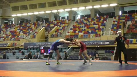 Чемпионат по борьбе 2024 года