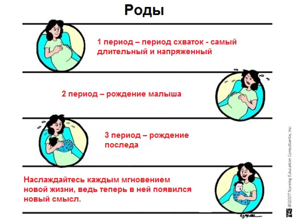 Схватки перед родами. Первый период родов начинается с. III период родов.