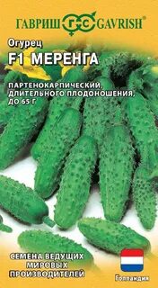 Огурцы сорта меренга