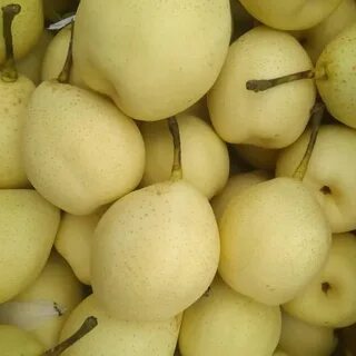 Белая груша фрукт