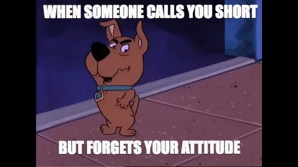 You re short