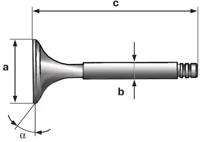 Размеры клапанов ваз 8 клапанов. Клапан выпускной Фабия 1.2. Клапан впускной ВАЗ 16 клапанов Размеры. G4kd диаметр клапанов. Выпускной клапан Шкода Фабия 2 1.2.