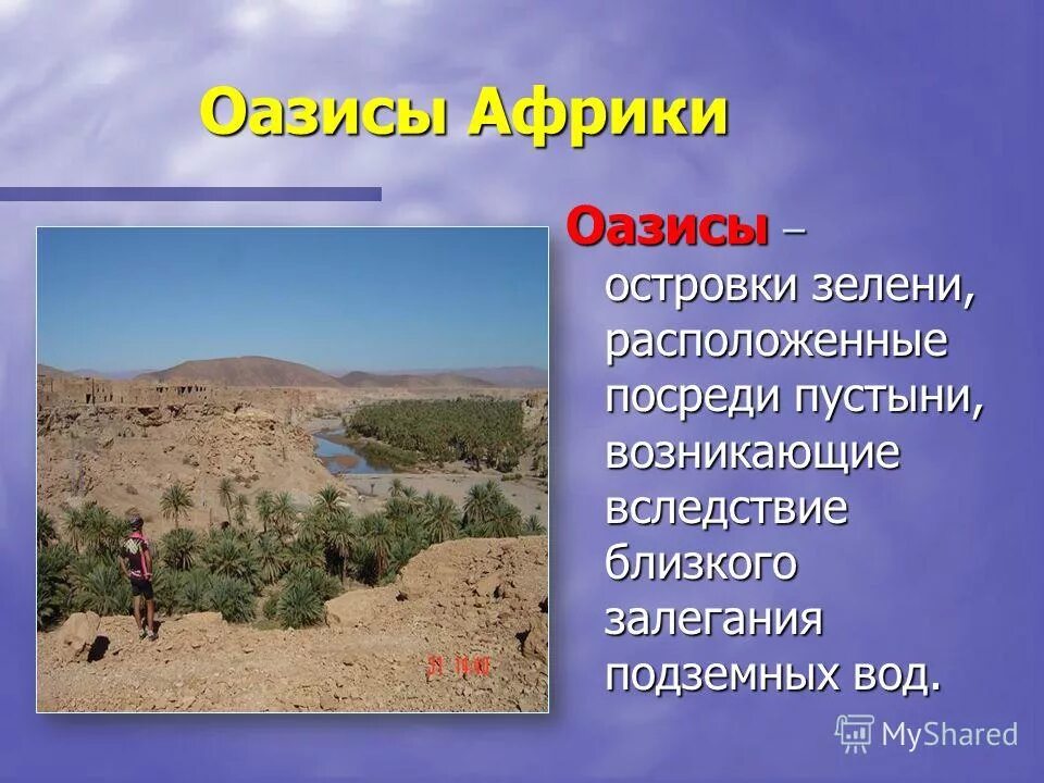 презентация прогулка с котенком скретч. кумакская пустыня соль илецк. оазис островки зелени. объединённые арабские эмираты пустыня. пальмы ливии.