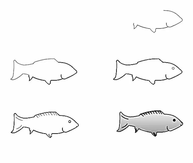 Рисование рыбы. Рыба срисовать. Рисование рыбы поэтапно. Рыбка рисунок карандашом. Рыбы рисунок 3 класс