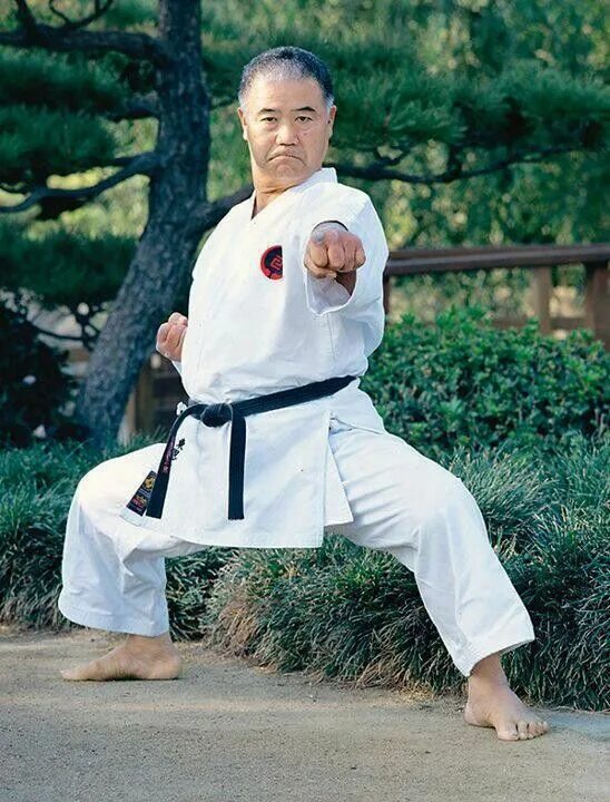 Goju ryu karate