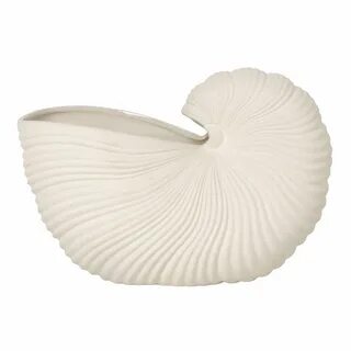 Seashell beige