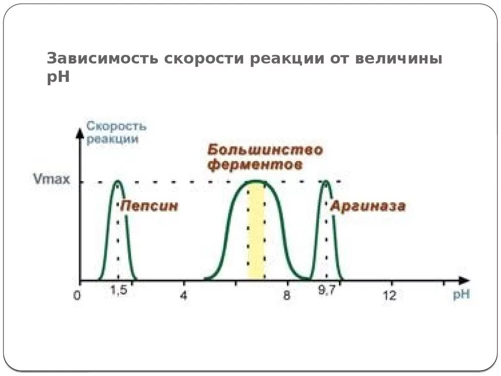 График зависимости скорости ферментативной реакции от PH среды. График зависимости активности ферментов от РН. График зависимости активности ферментов от PH. График зависимости скорости ферментативной реакции от величины РН. Изменение температуры ферментов