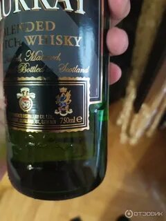 Клан отзывы
