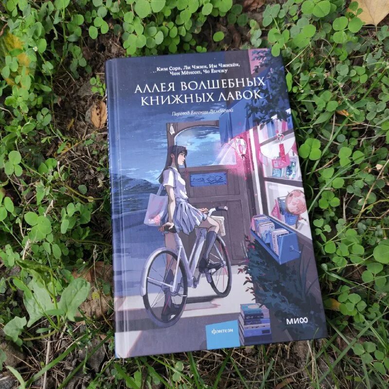 аллея волшебных книжных. сад фэнтези. аллея волшебных книжных. хагрид косой переулок иллюстрации. хогсмид гарри поттер.