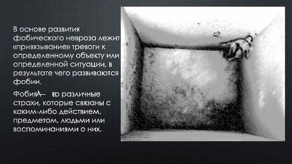 Гермофобия псисфера. Гермофобия псисфера. Гермофобия псисфера. Гермофобия псисфера. Гермофобия псисфера.