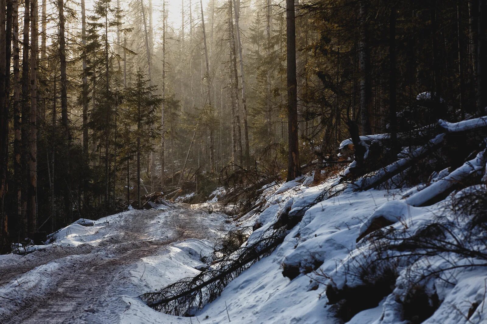 худо тайгу. The hunter call of the wild тайга животные. егерь лесник. зимняя тайга. енисейская тайга.