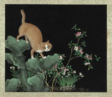 Ах кот