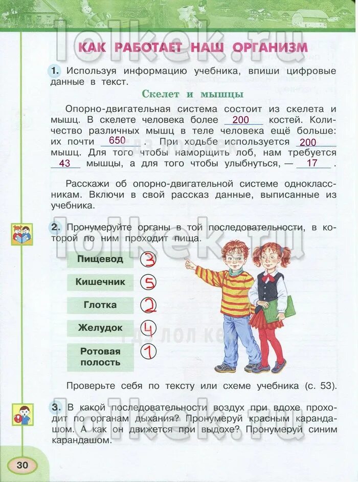 Используя информацию учебника впиши цифровые. Окружающий мир 1 часть ь страница. Тексты для окружающего мира 2 класс. Внимательно прочитай памятку в учебнике. Словарь по окружающему миру.