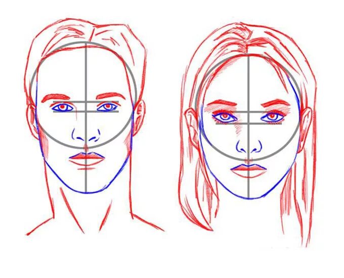 Поэтапное рисование лица. Лицо рисунок. Рисование лица человека. Схема лица человека для рисования.