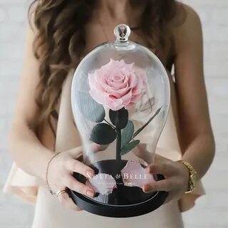 Rose fast