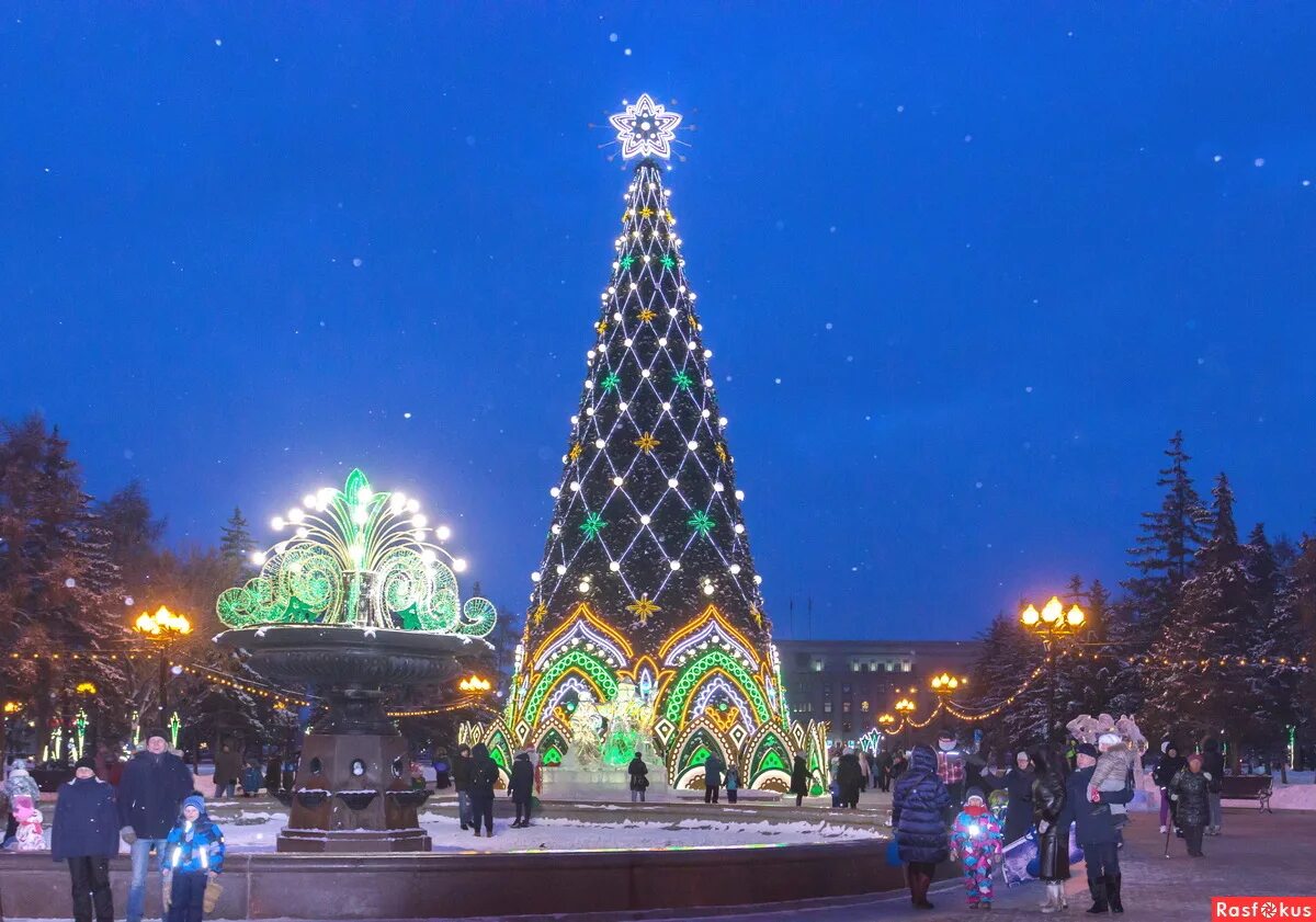 Иркутск новогодний сквер кирова. Сквер кирова иркутск зимой 2022. Сквер кирова новый год. Сквер кирова иркутск елка новогодняя. Елка на сквере кирова иркутск 2021.