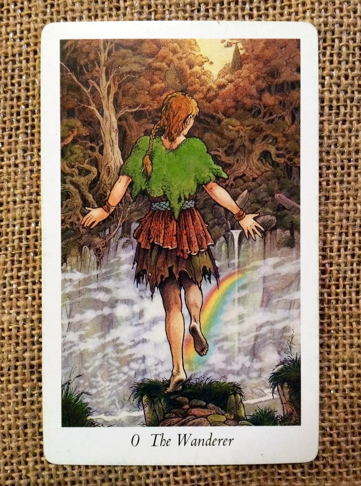 Таро драйн. Wildwood tarot галерея. таро wildwood tarot. колода wildwood tarot. the wildwood tarot. таро дикого леса.
