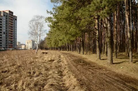 Погода кутузово подольск