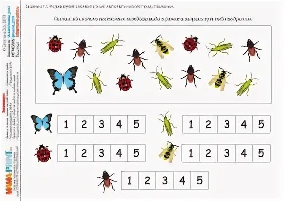 Тематическое планирование насекомые средняя группа. Тематический комплект насекомые.
