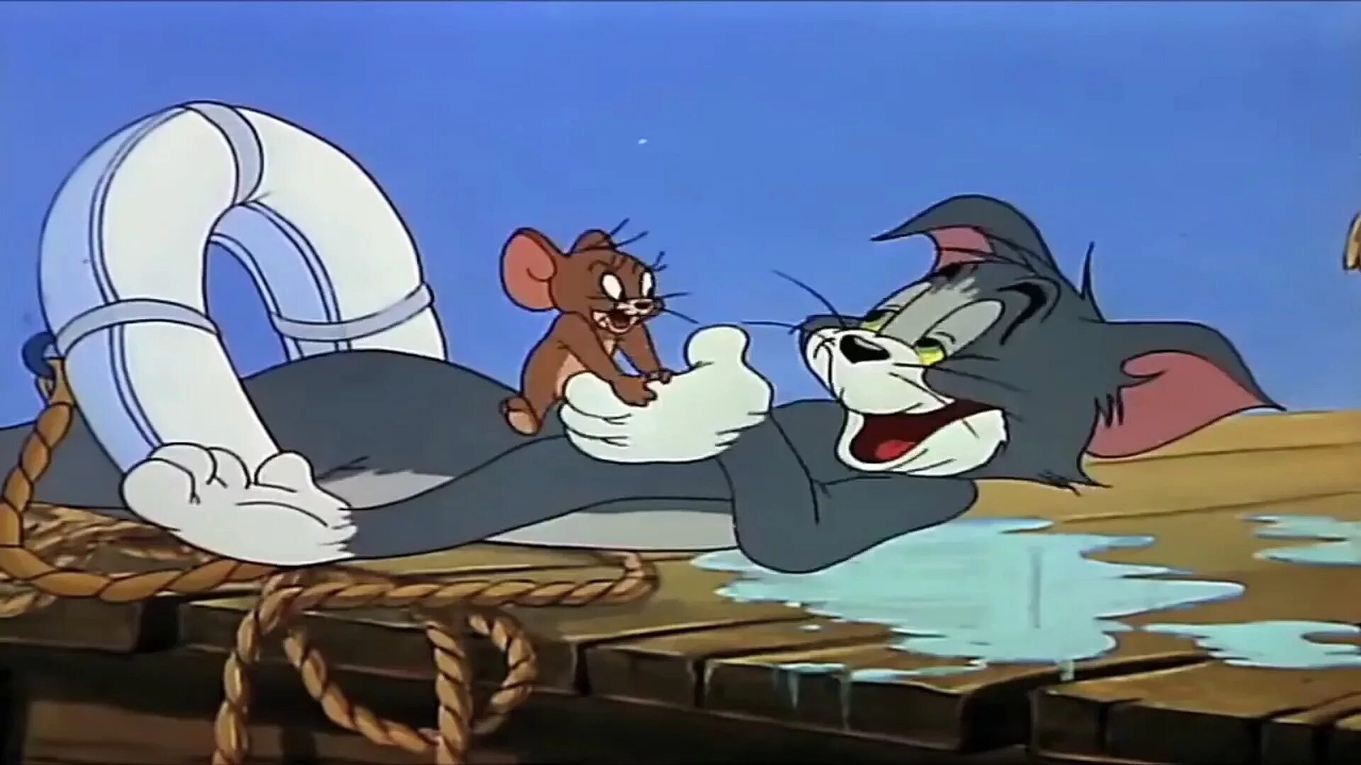 Том и джерри на чеченском. Tom jerry mermouse jerry. tom jerry the cat and the mermouse. том и джерри 1952. том и джерри и кот леопольд.
