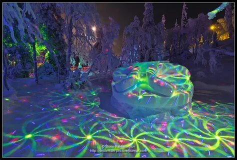 Кировск лес