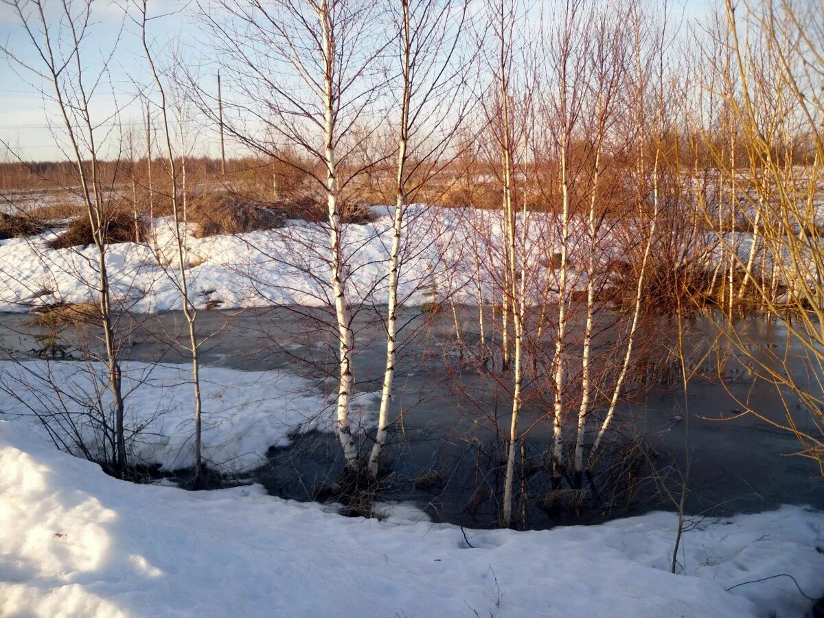 Талые воды весной. Весенняя вода Талая.