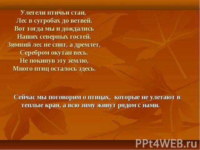 Улетают утки в теплые края. Улетают птицы в теплые края а одна не. Улетают утки в теплые. Улетают утки в теплые края а одна.