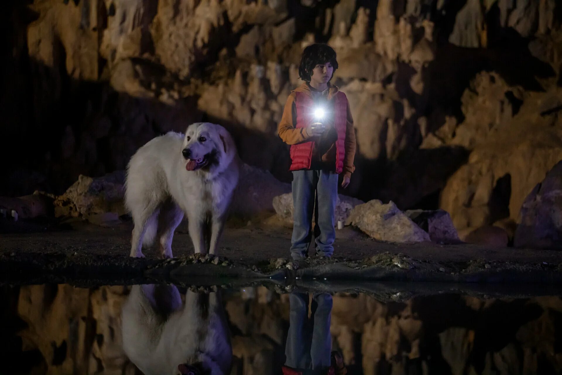 Белль и себастьян друзья навек. Бель и себостьян друзья на век. Белль и себастьян: новое поколение (2022). «белль и себастьян» (николя ванье, 2013). Белль и себастьян друзья навек.