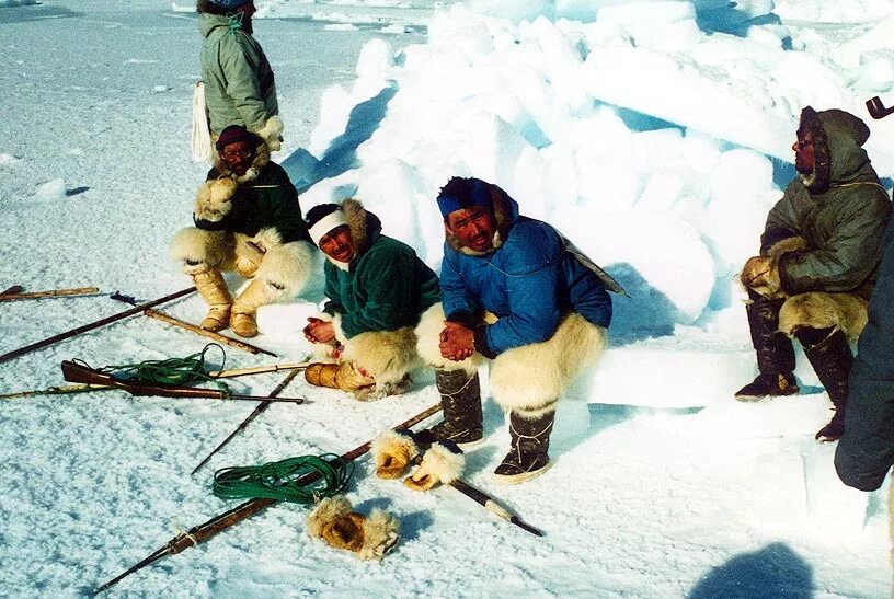 Антарктида температура сейчас. Эскимосы в антарктиде. Остров буромского согревшие антарктиду. Аборигены антарктиды. Центрнаучфильм.