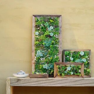Present garden